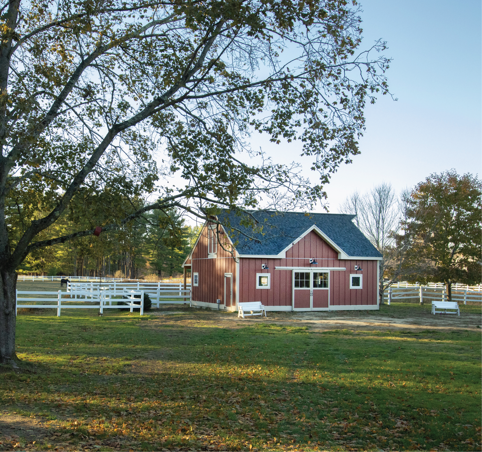 Rustic horse barn